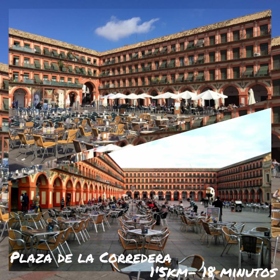 Ferienwohnung Tati Flat - "Parking Facil" Córdoba Exterior foto